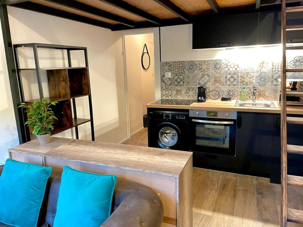 Cocooning & Modern Duplex City Center Carabacel 尼斯 外观 照片